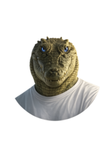 Tomás de Noronha (@TomasDaAI) — CTO AINode